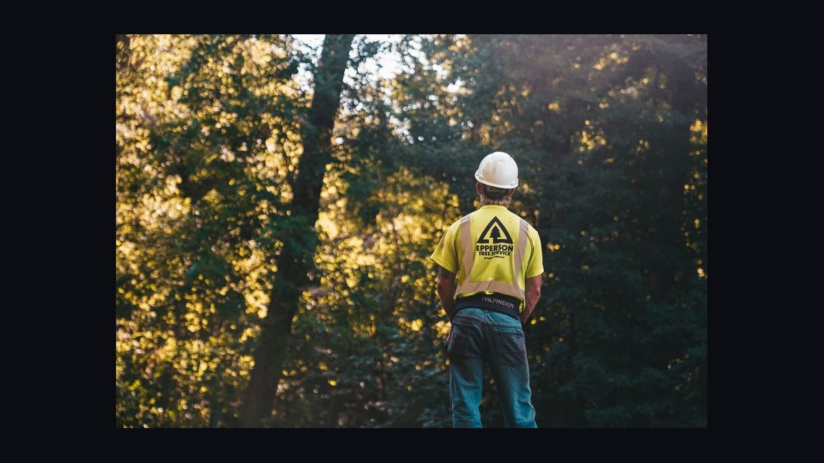 Should I open a tree service business in 2027 — figure 2