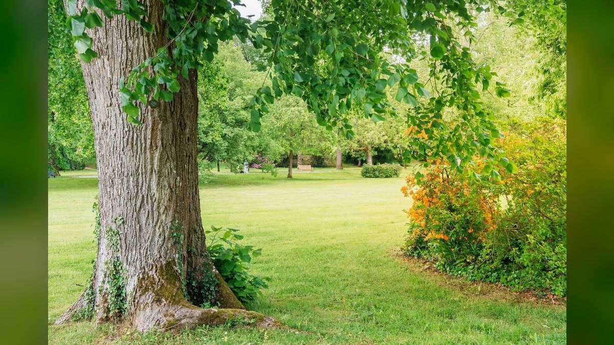 Should I open a tree service business in 2027 — figure 3