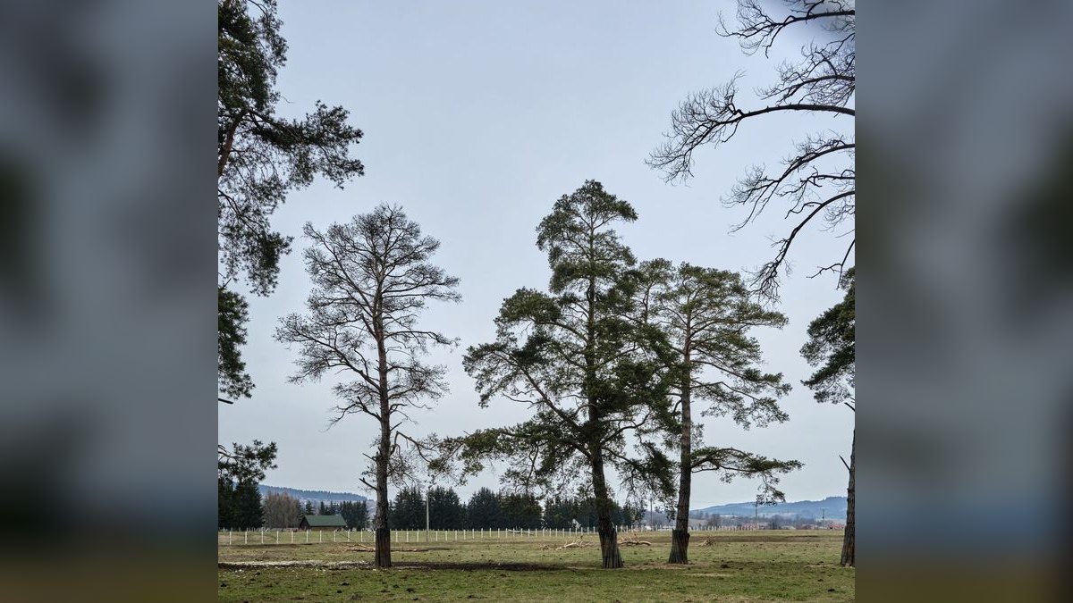 Should I open a tree service business in 2027 — figure 4