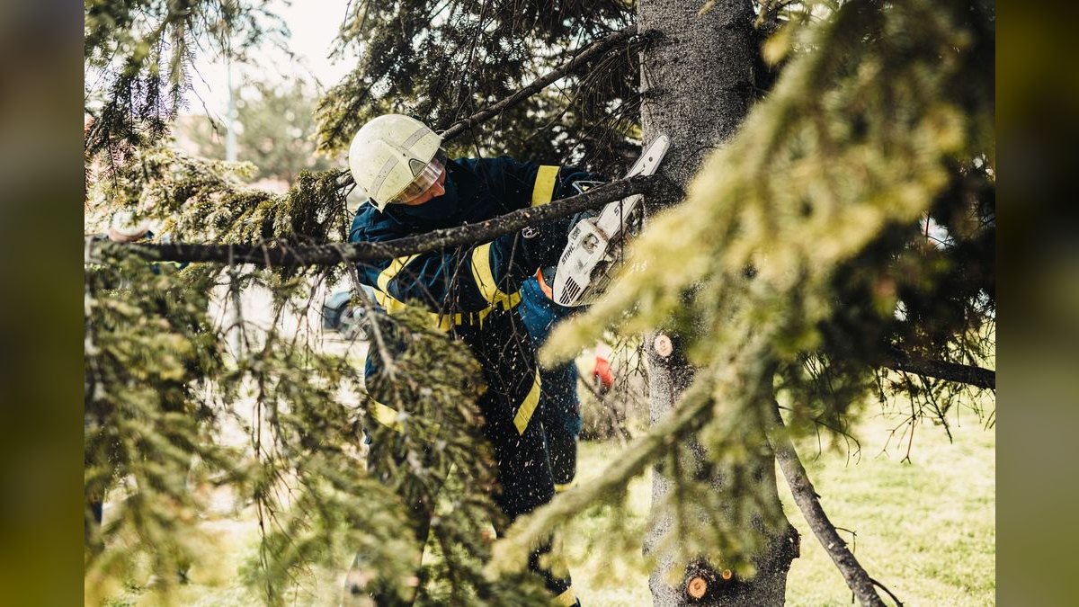 Should I open a tree service business in 2027 — figure 5