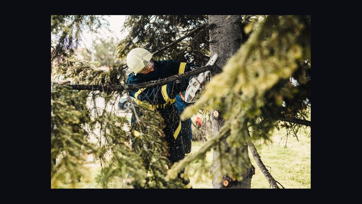 Should I open a tree service business in 2027 — figure 7