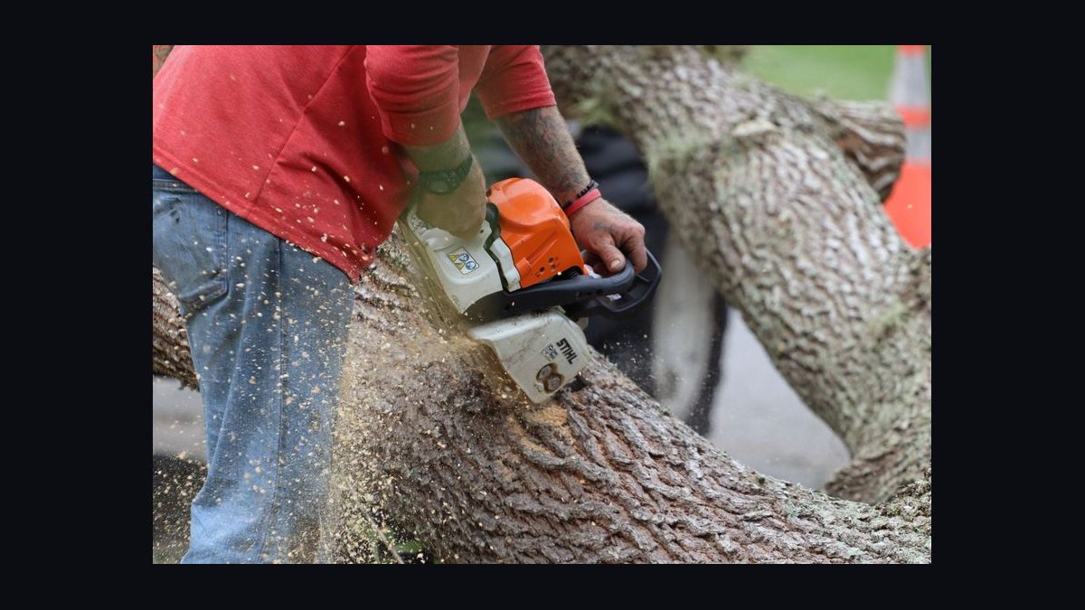 Should I open a tree service business in 2027 — figure 8