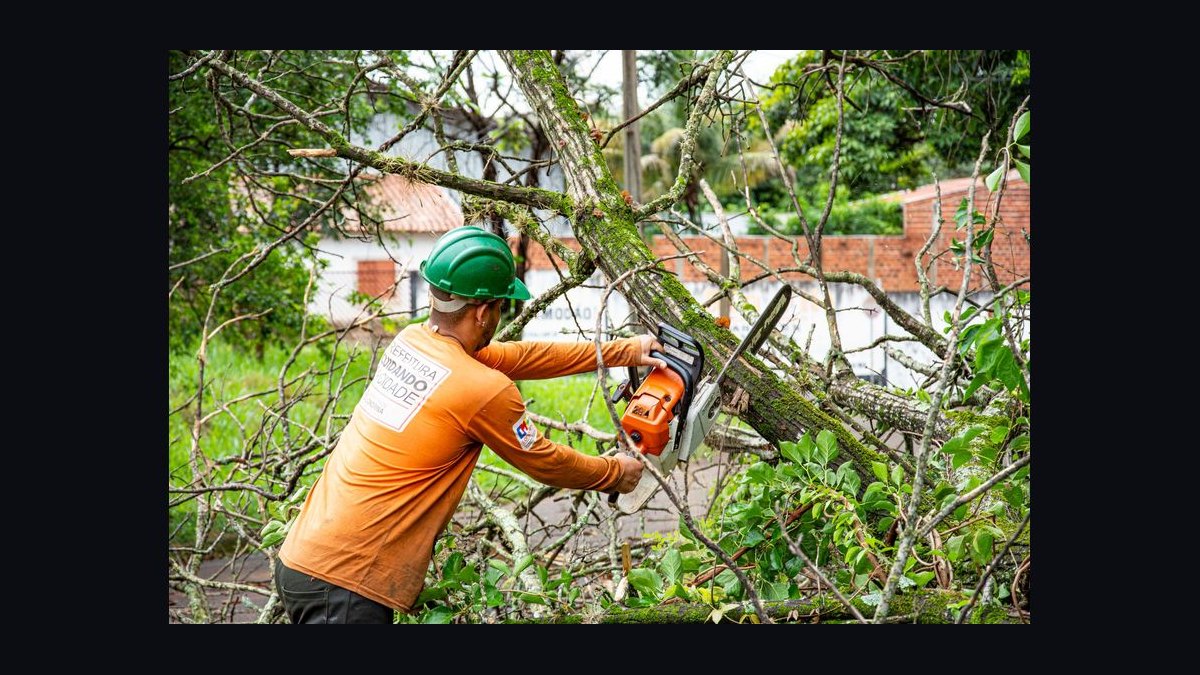 Should I open a tree service business in 2027 — figure 9