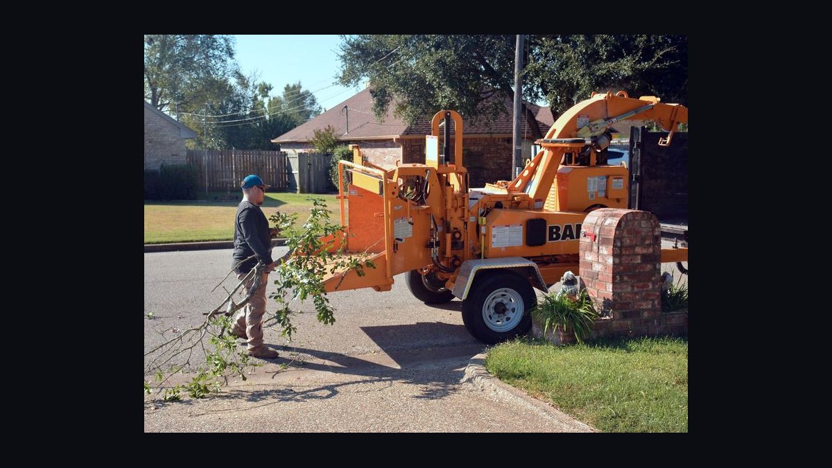 Should I open a tree service business in 2027?
