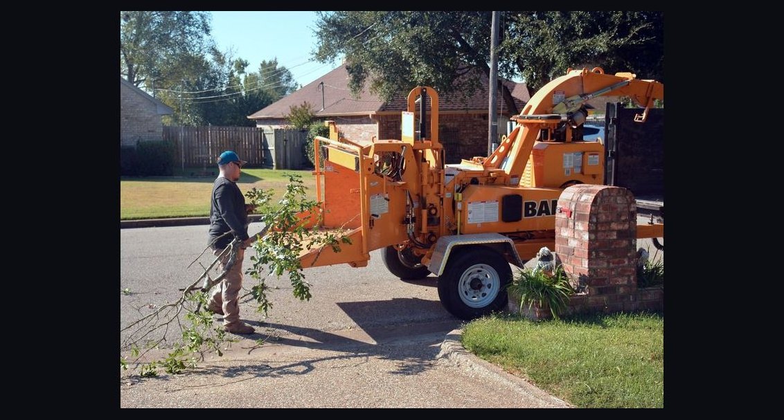 Should I open a tree service business in 2027?