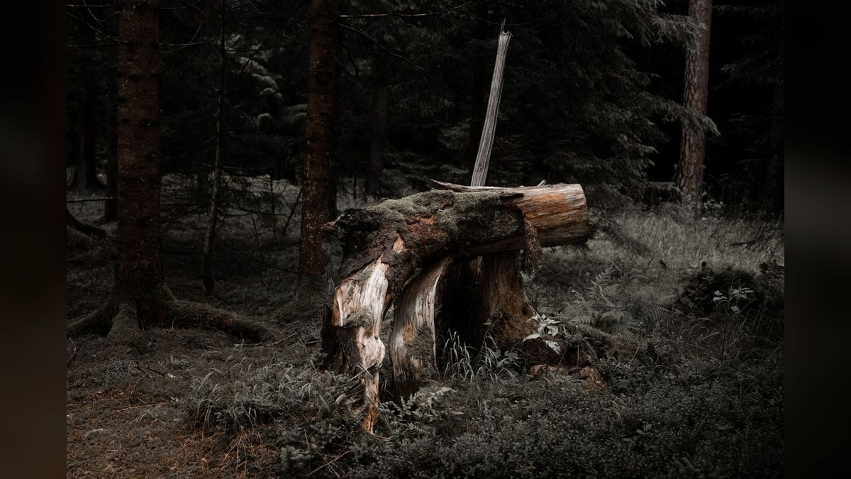 Should I open a stump removal business in 2027 — figure 3