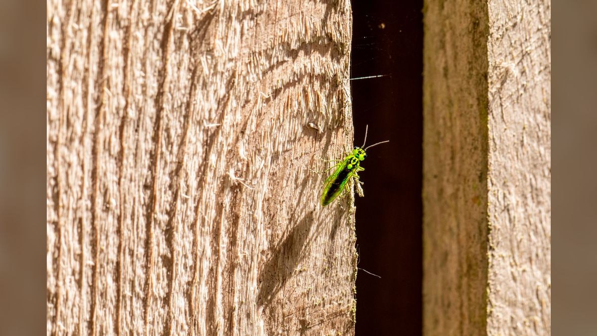Should I open a independent pest control business in 2027 — figure 6