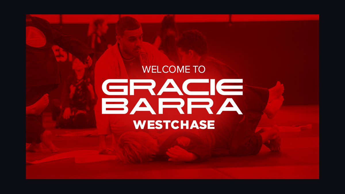 Should I open or buy a Gracie Barra Brazilian Jiu-Jitsu franchise in 2027 — figure 1