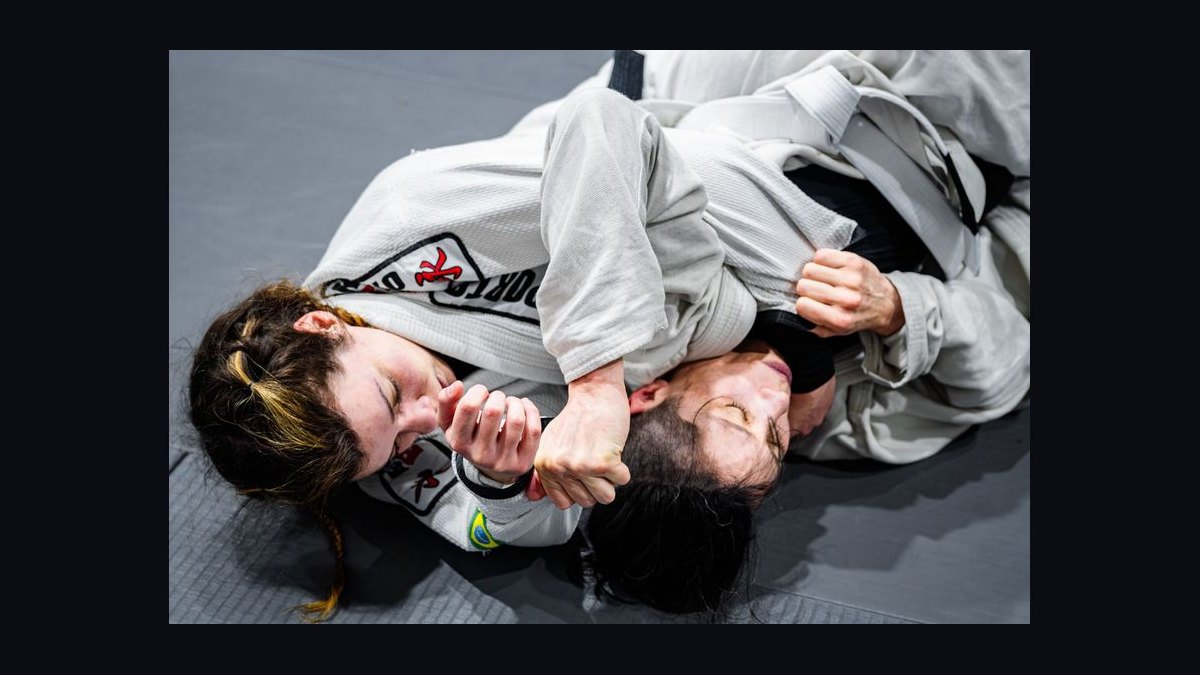 Should I open or buy a Gracie Barra Brazilian Jiu-Jitsu franchise in 2027 — figure 7