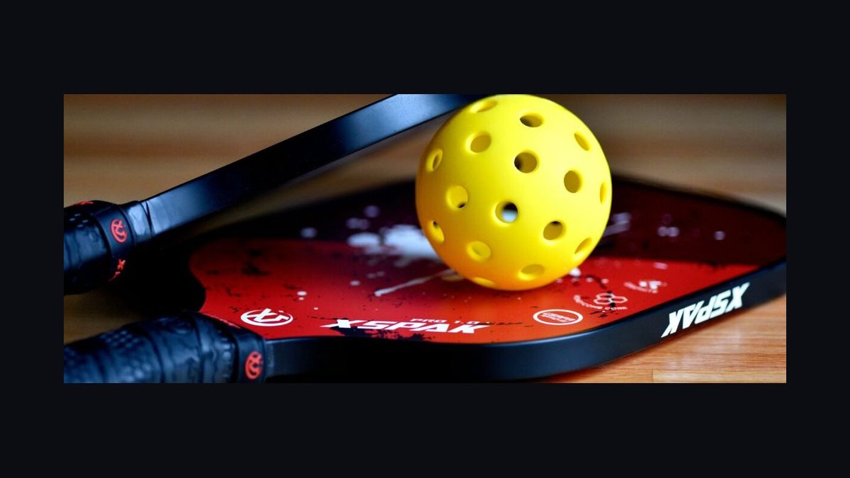 Should I open or buy a The Picklr pickleball franchise in 2027 — figure 1