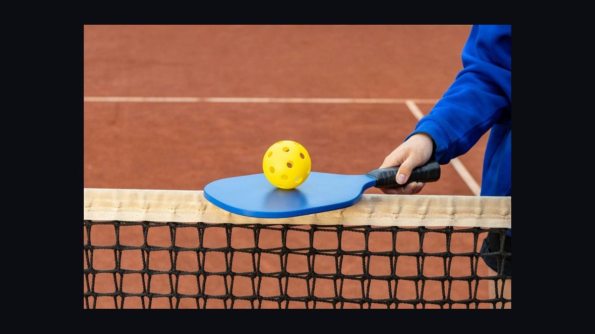 Should I open or buy a The Picklr pickleball franchise in 2027 — figure 6