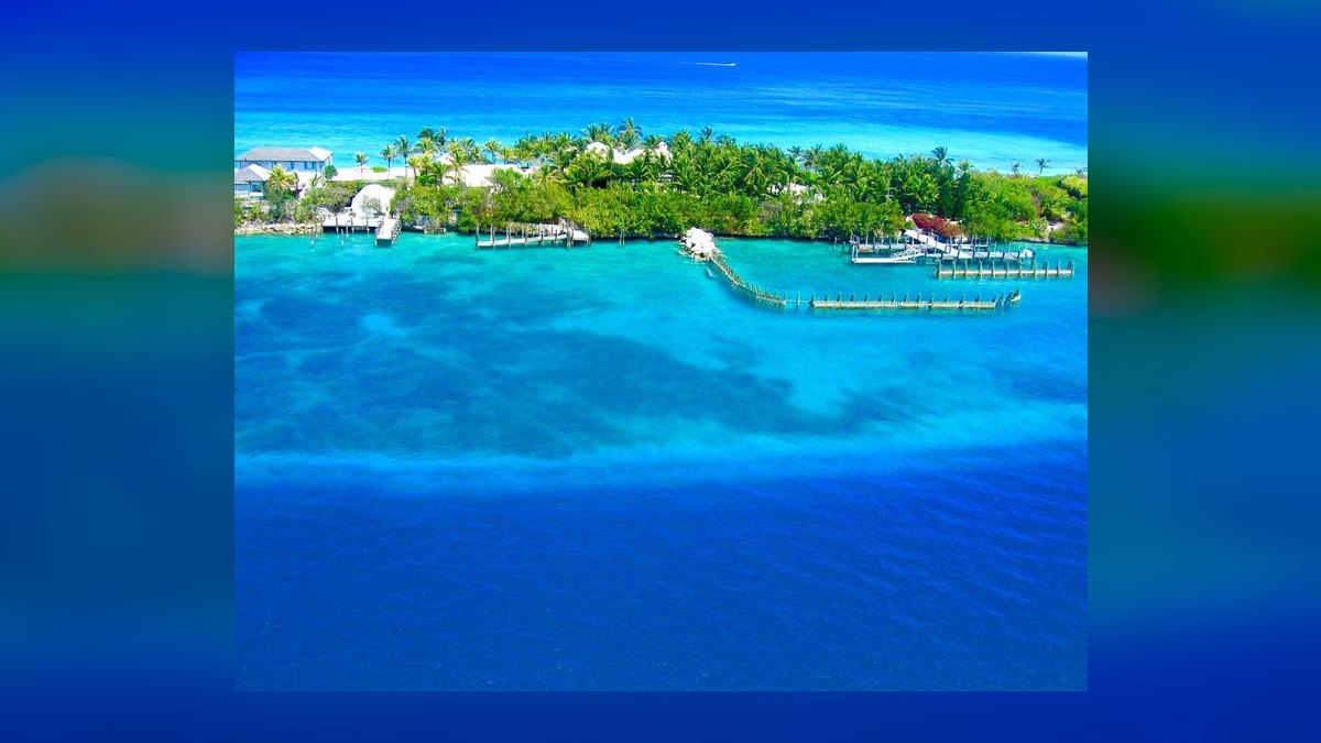 Should I open or buy a Bahama Buck’s franchise in 2027 — figure 7