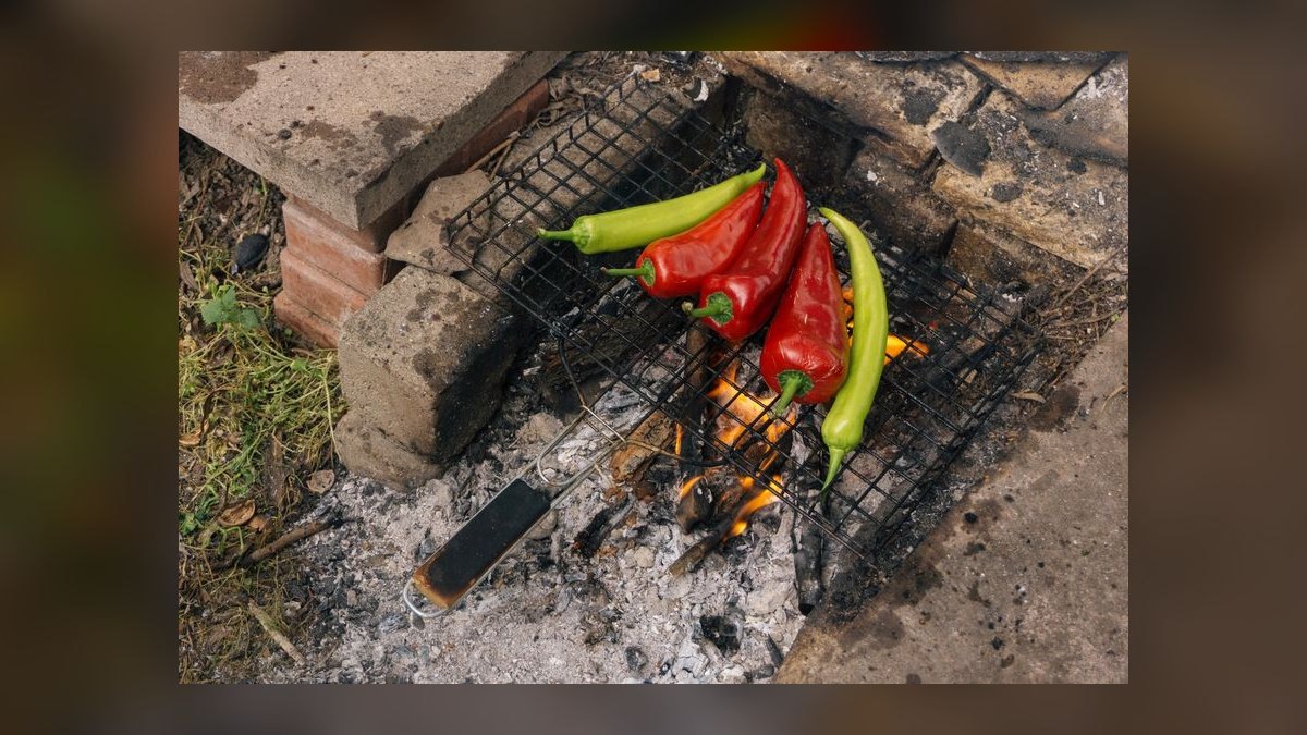 Should I open or buy a Pepper Lunch franchise in 2027 — figure 7