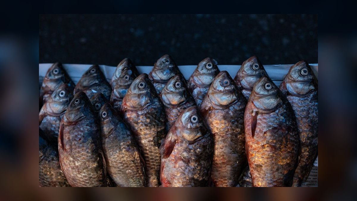 Should I open or buy a Fish Window Cleaning franchise in 2027 — figure 8