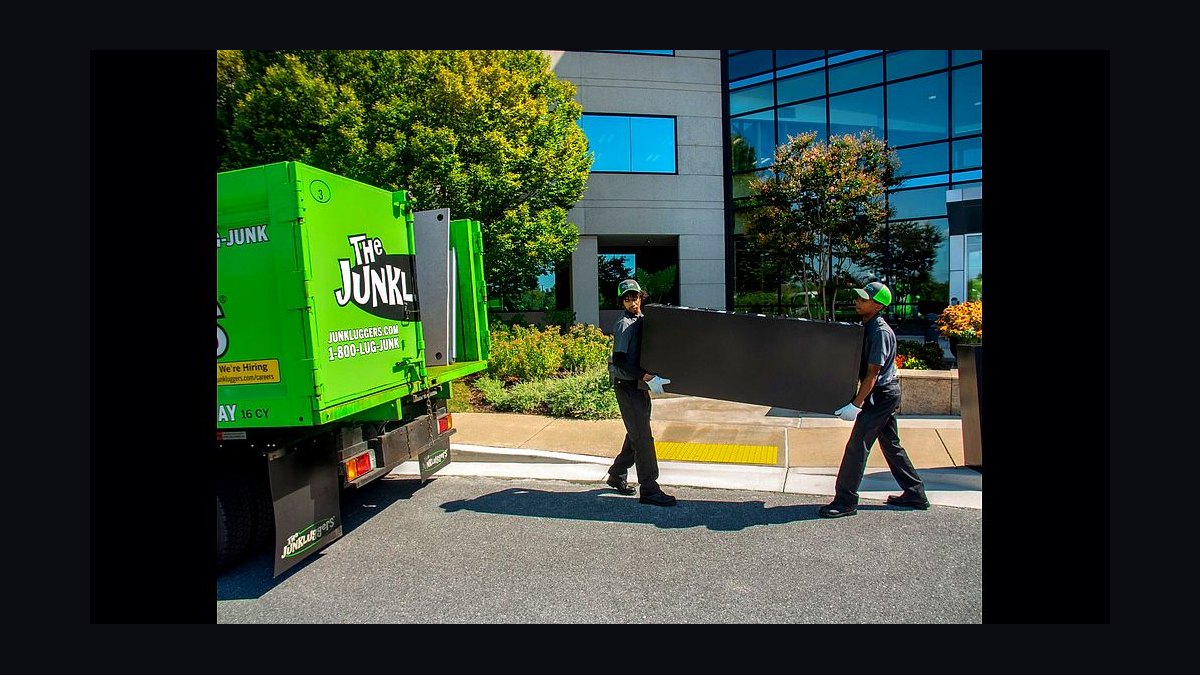 Should I open or buy a The Junkluggers franchise in 2027 — figure 1
