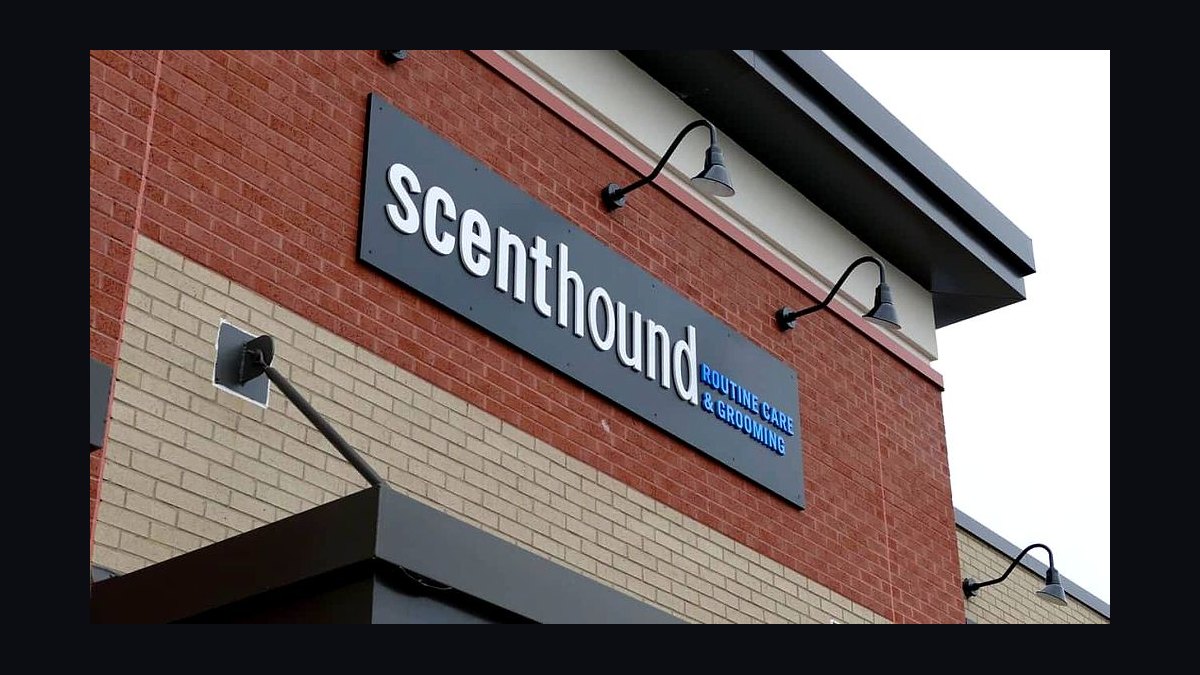 Should I open or buy a Scenthound franchise in 2027 — figure 2