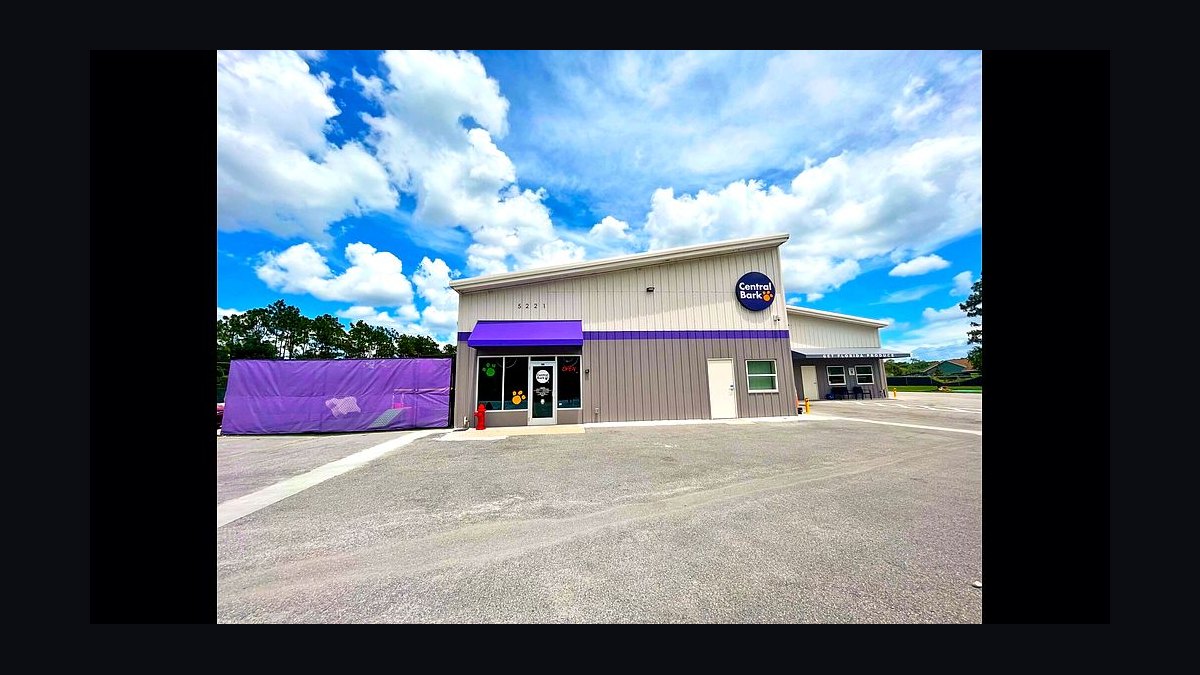 Should I open or buy a Central Bark franchise in 2027?