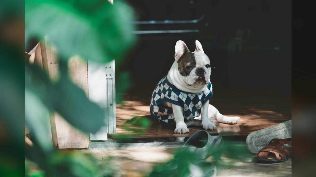 Should I open or buy a Frenchies Modern Nail Care franchise in 2027 — figure 3