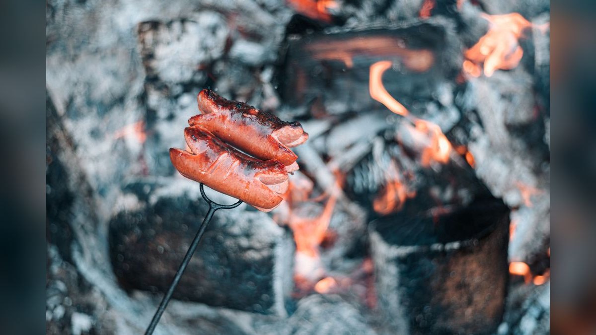 Should I open or buy a City Barbeque franchise in 2027 — figure 2