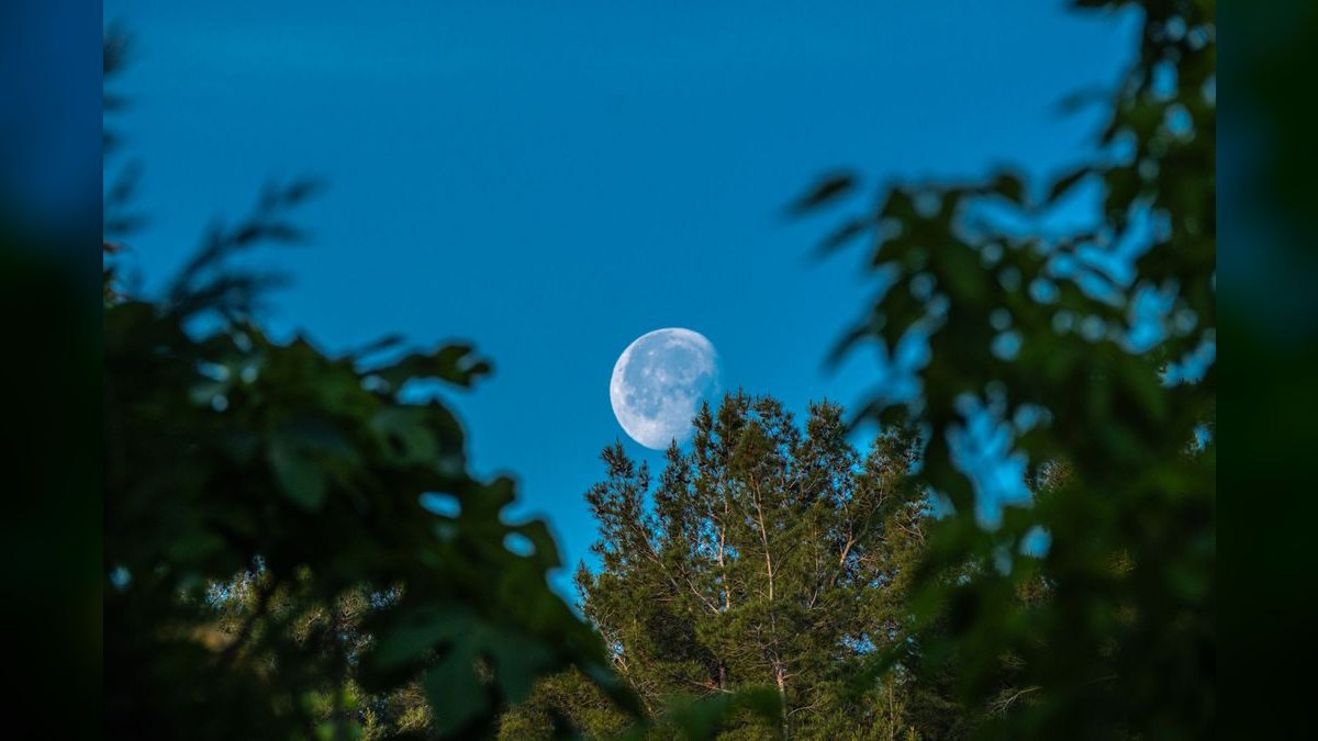 Should I open or buy a Summer Moon Coffee franchise in 2027?