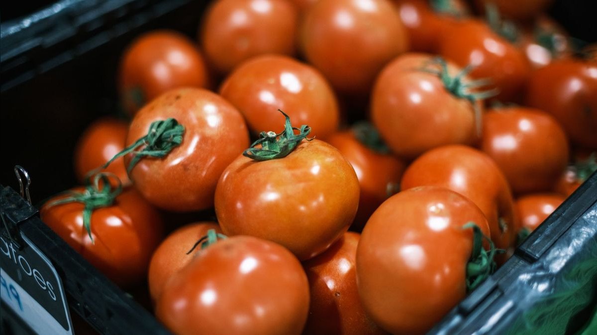 Should I open or buy a Snappy Tomato Pizza franchise in 2027 — figure 5