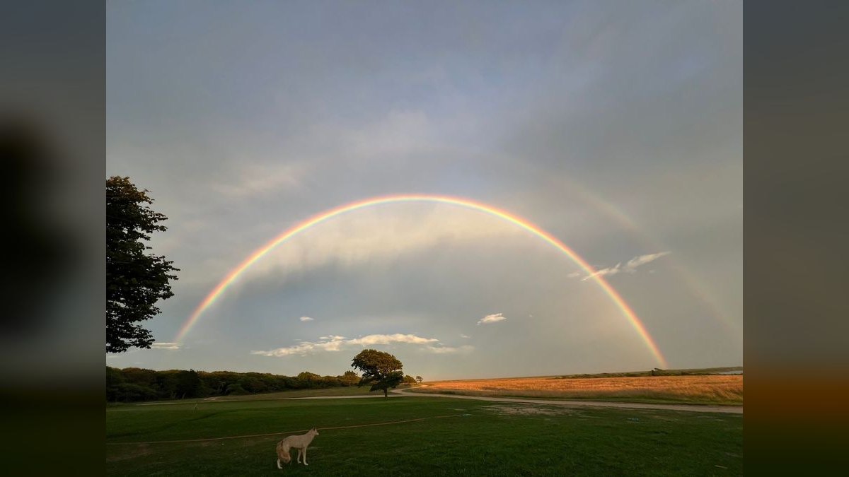 Should I open or buy a Rainbow Restoration franchise in 2027 — figure 3