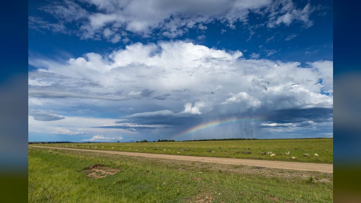 Should I open or buy a Rainbow Restoration franchise in 2027?