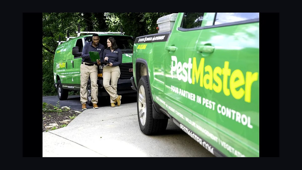 Should I open or buy a Pestmaster franchise in 2027?