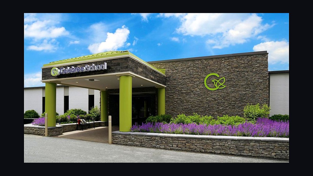 Should I open or buy a Celebree School franchise in 2027?