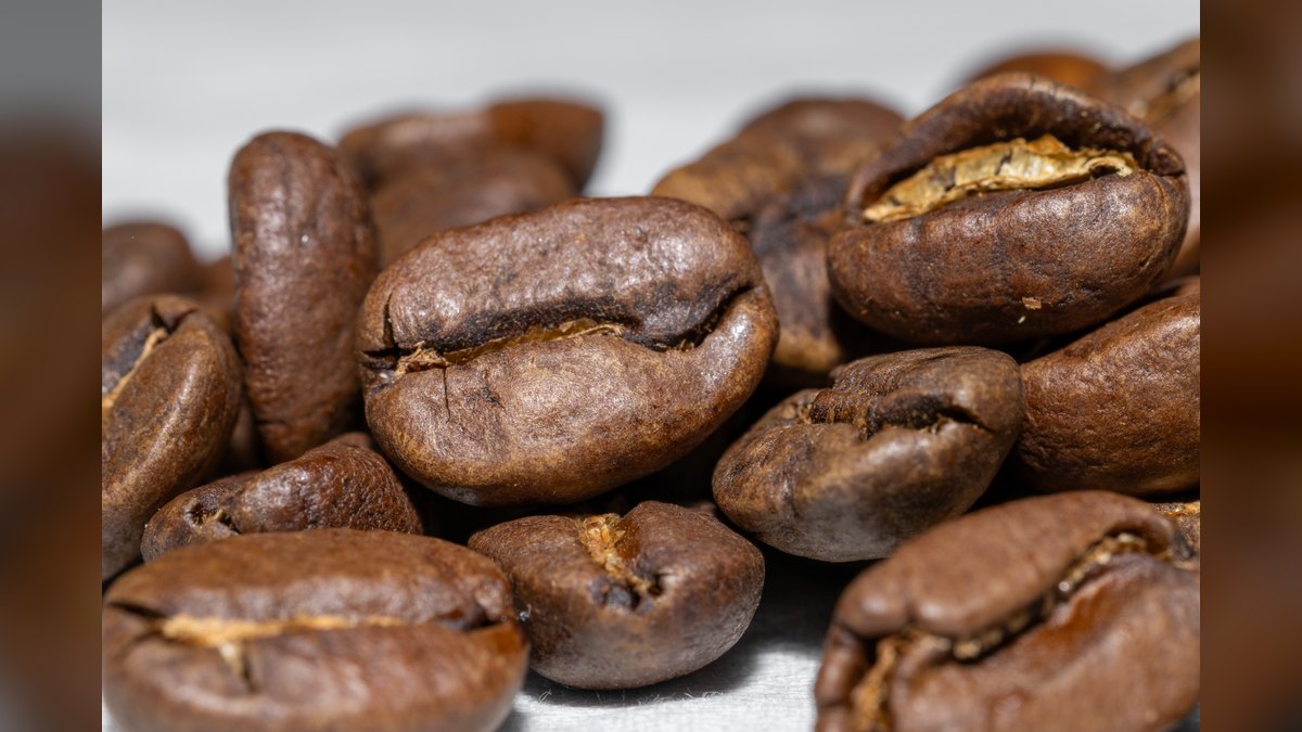 Should I open or buy a The Coffee Bean & Tea Leaf franchise in 2027 — figure 2