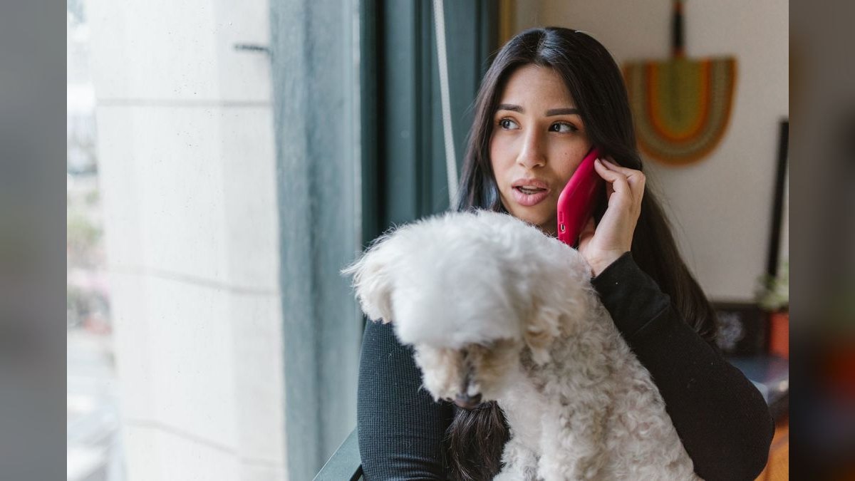 Should I open or buy a DoodyCalls franchise in 2027 — figure 4