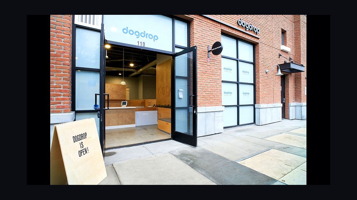 Should I open or buy a Dogdrop franchise in 2027?