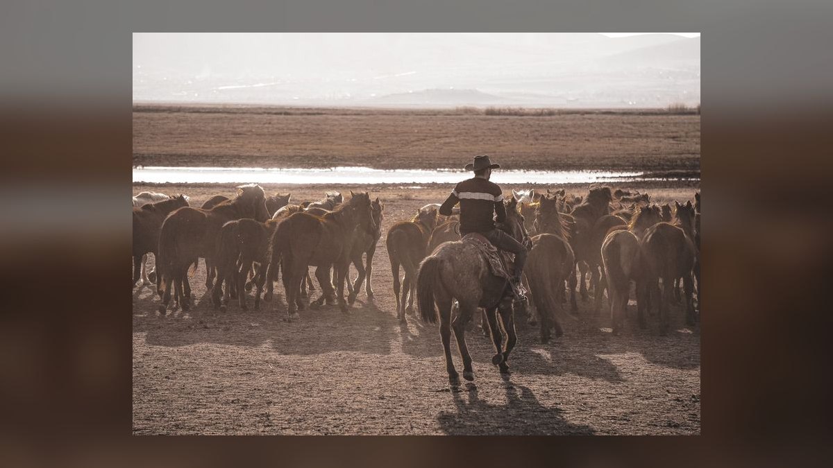 Should I open or buy a Best Western franchise in 2027 — figure 10