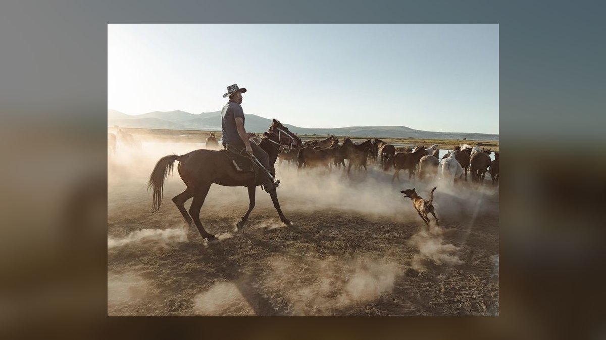 Should I open or buy a Best Western franchise in 2027 — figure 8