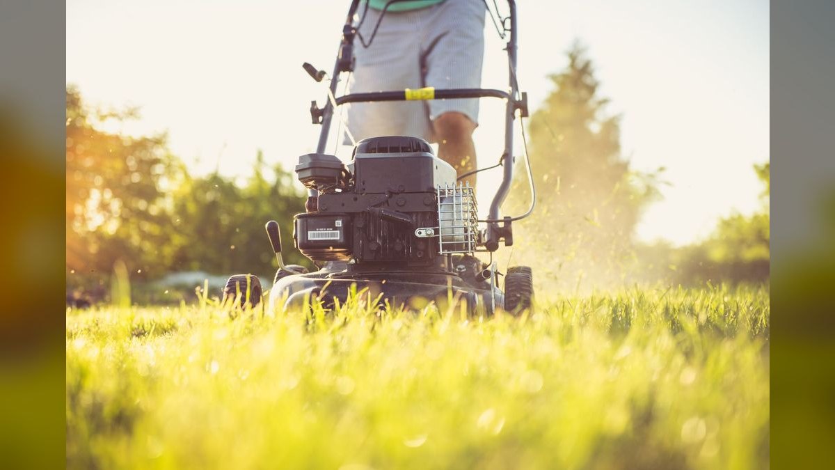 Best landscaping and lawn-care franchises to buy in 2027 — figure 1