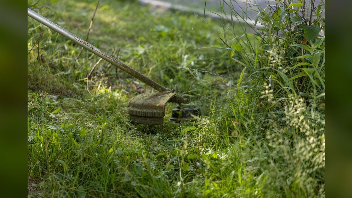 Best landscaping and lawn-care franchises to buy in 2027 — figure 4