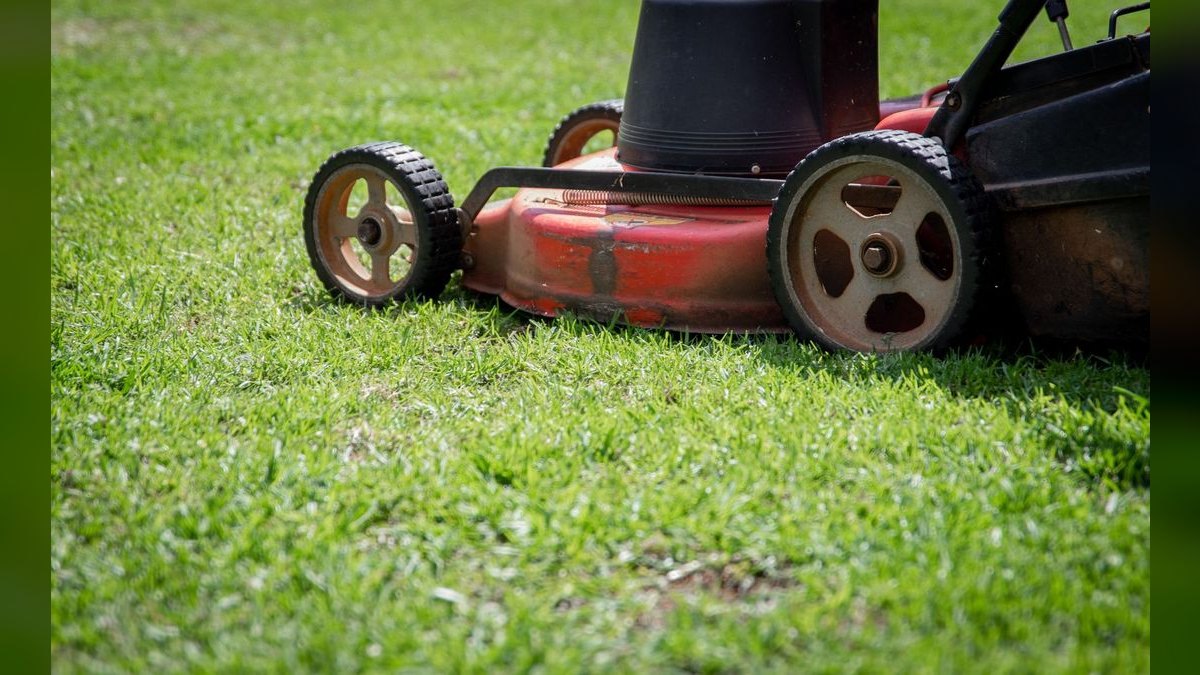Best landscaping and lawn-care franchises to buy in 2027 — figure 5