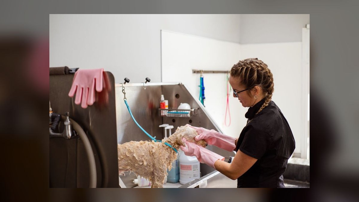 Best pet grooming franchises to buy in 2027 — figure 10