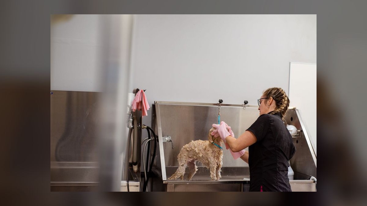 Best pet grooming franchises to buy in 2027 — figure 3