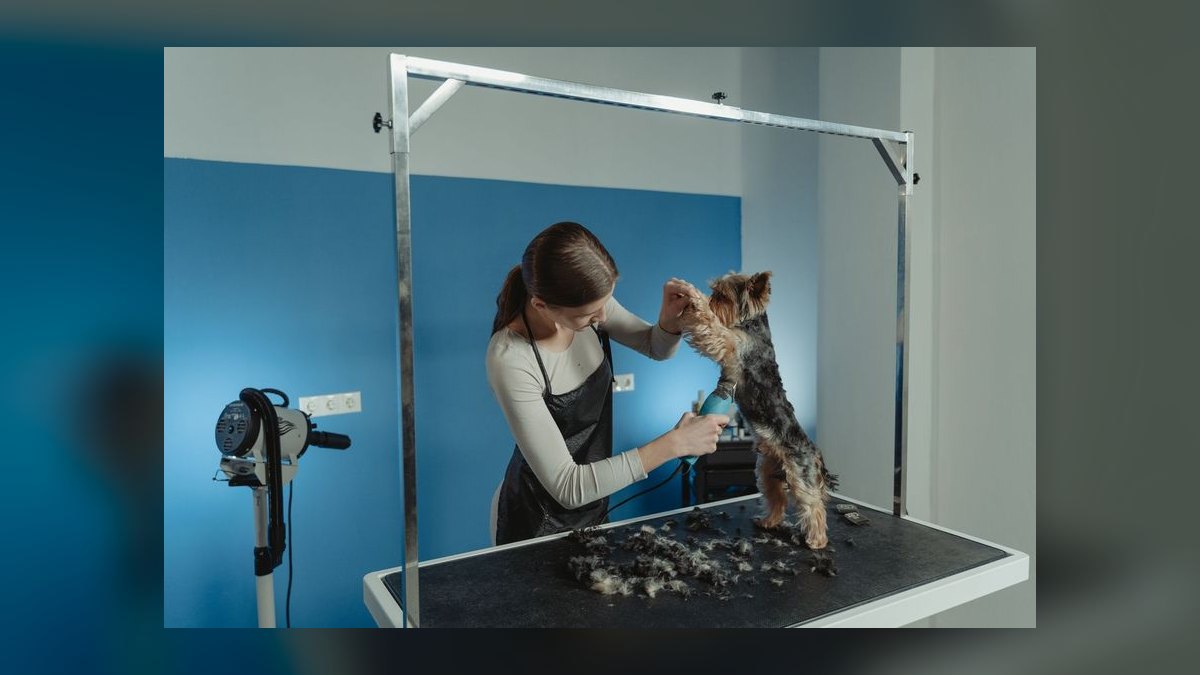 Best pet grooming franchises to buy in 2027 — figure 6
