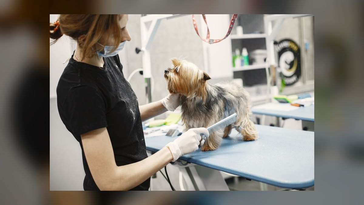 Best pet grooming franchises to buy in 2027 — figure 8