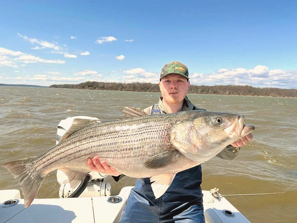North River Seahawk 25