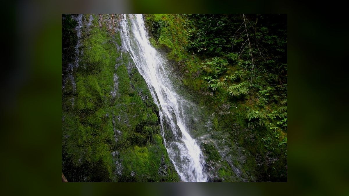 10 Best National Parks for Family Reunions in 2027 — figure 8
