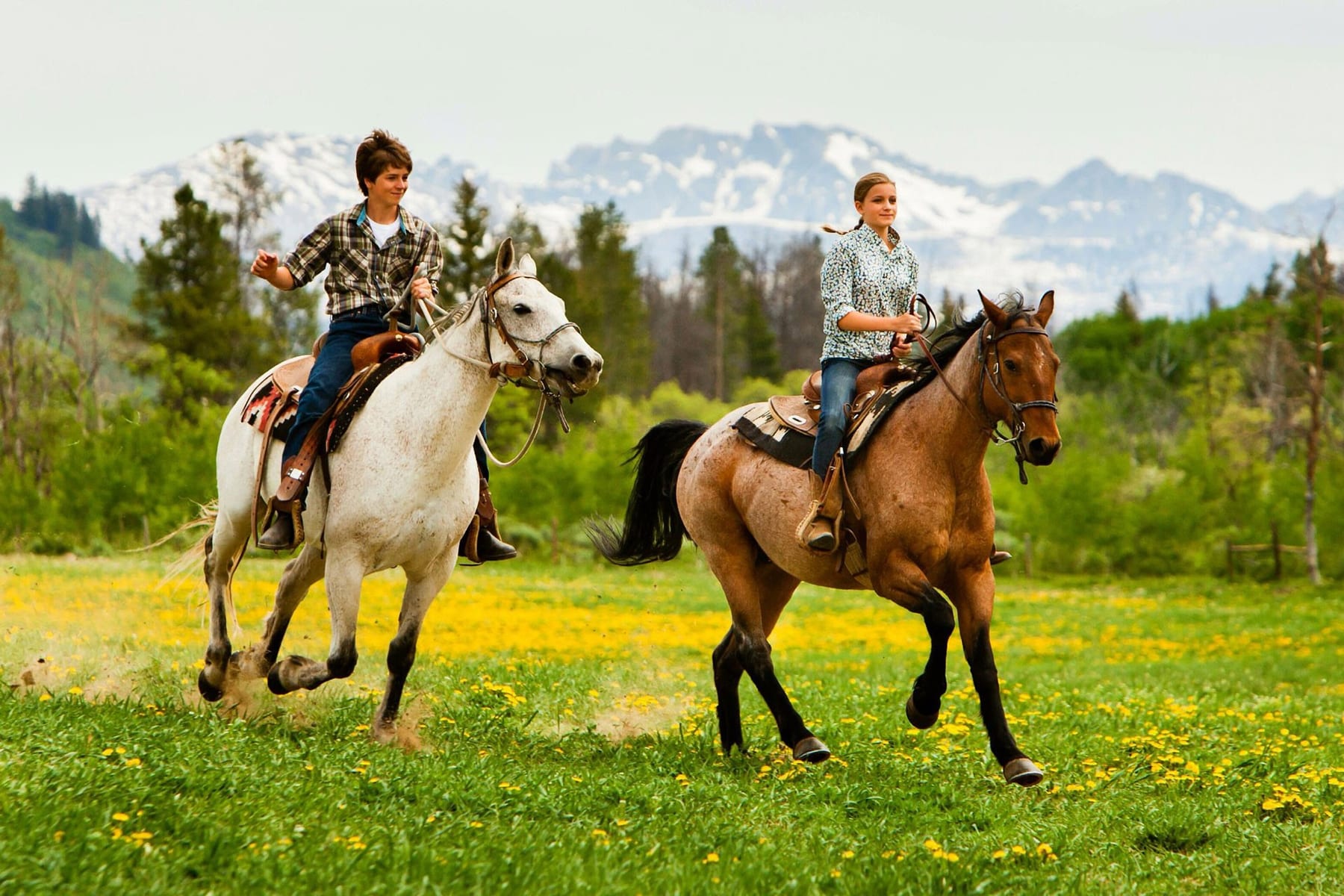 10 Best Dude Ranches for Family Reunions in 2027 — figure 4