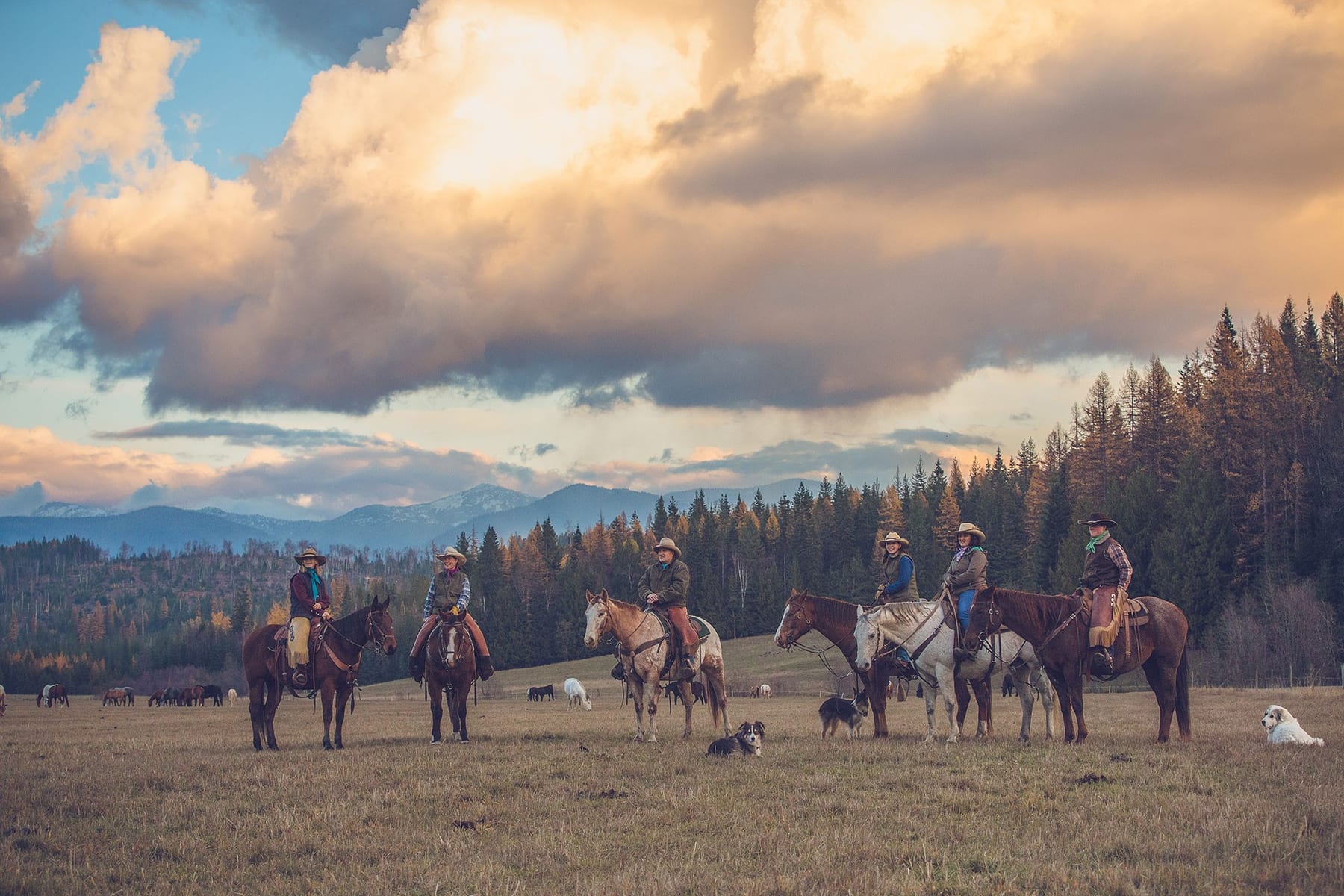 10 Best Dude Ranches for Family Reunions in 2027 — figure 6