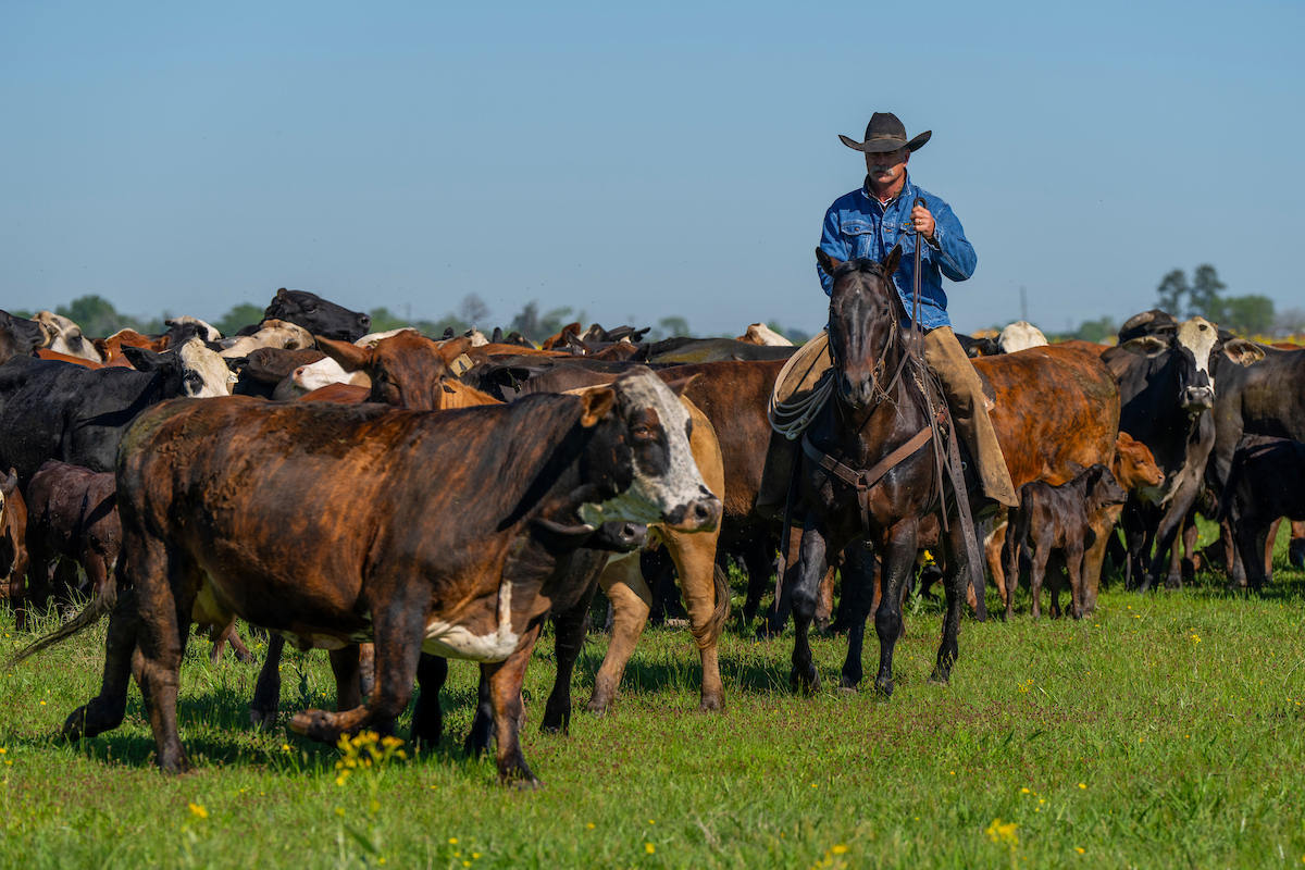 10 Best Conference Ranch & Working-Ranch Retreat Venues in the U.S. (2027) — figure 10
