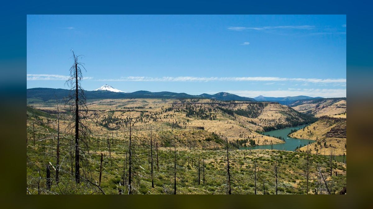 10 Best Pacific Northwest Corporate Retreat Venues (2027) — figure 3