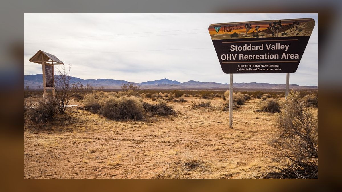The 10 Best Scottsdale Bachelor & Bachelorette Experiences for 2027 — figure 5