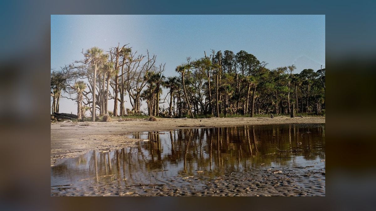 The 10 Best Savannah Wedding Venues in 2027 — figure 3