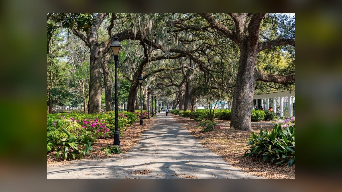 The 10 Best Savannah Wedding Venues in 2027 — figure 5